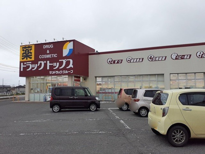 【周辺】 | エルドール | ドラッグトップス舟入店まで850m