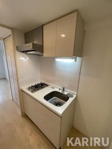 レジュールアッシュザ・パークロントのキッチン