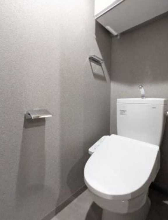 アルティザ上野毛　築浅　ネット無料　礼金０のトイレ