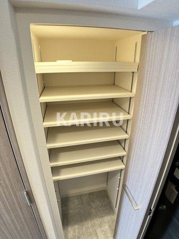 プレサンス大阪都島エレナードの収納
