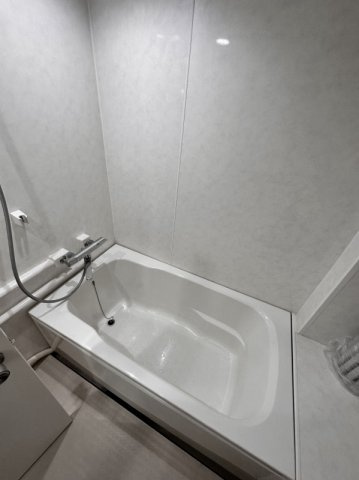 リバーパーク桜木の浴室