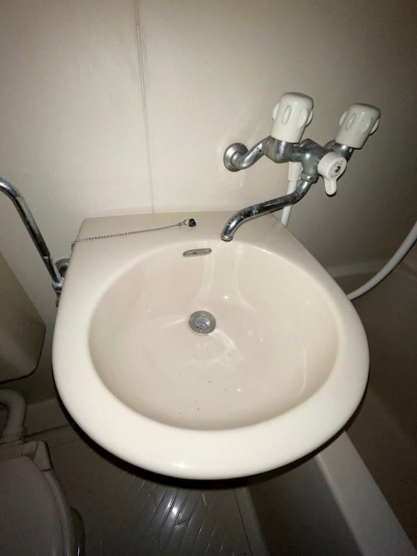 MAYA-桜-ビレッジの洗面所