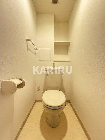 アビタシオン巽 のトイレ