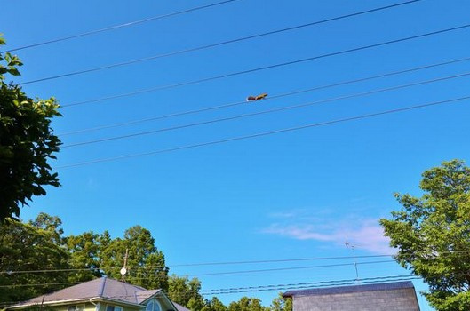 【展望】 | 大室高原別荘地　戸建