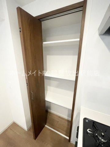 大阪市鶴見区今津南４丁目の賃貸マンションの収納