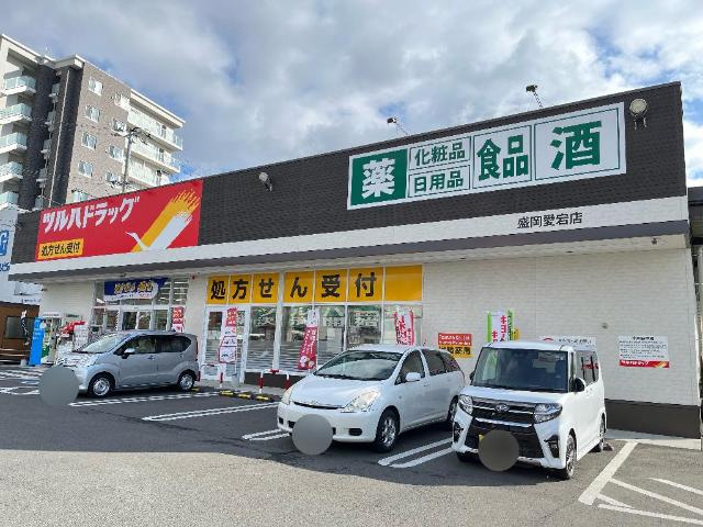 リバーサイド下小路Ⅱの周辺|ツルハドラッグ盛岡愛宕店まで200ｍ