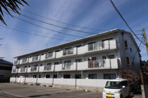 グレースソシアの画像