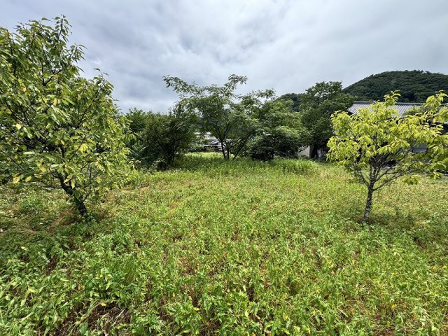 千曲市森中古住宅の庭