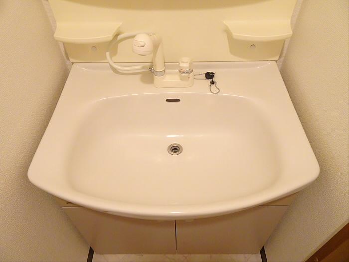 レジデンスミヤビの洗面所