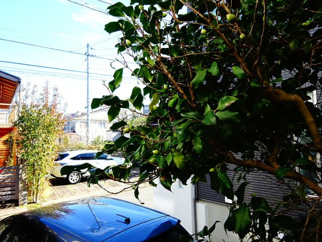 西垣アパートの展望