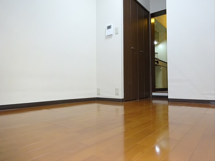 イズミコートⅠの居間・リビング