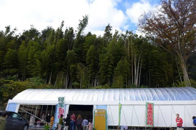 【周辺】 | アコール