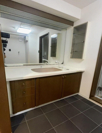 ライオンズマンション北小金の独立洗面台