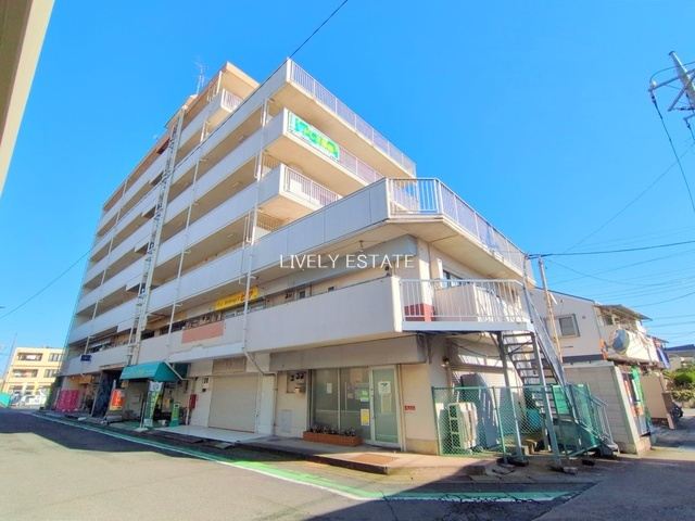ライフピア金明の外観