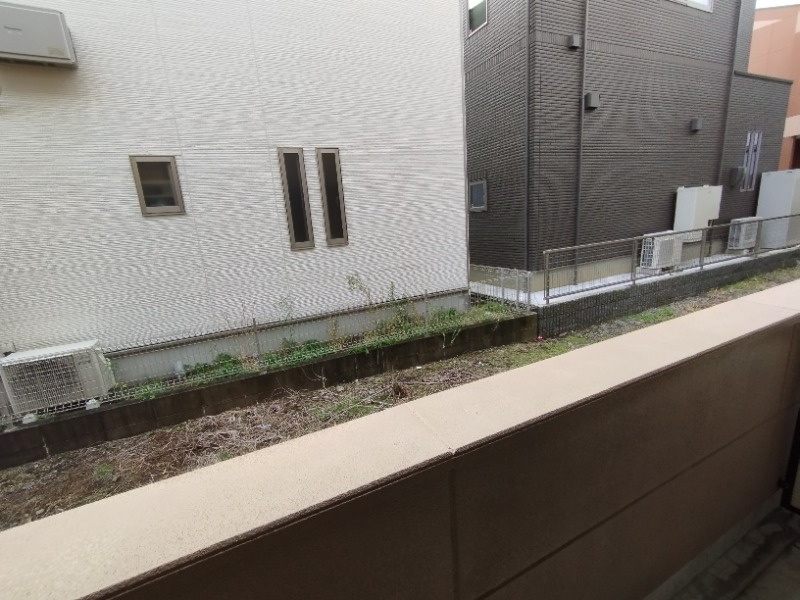 ブルーサンズ５の展望
