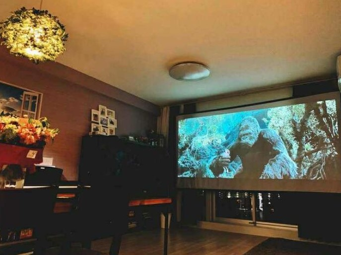 新松戸ファミールハイツ５号棟の居間・リビング