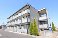 プラティークラシーヌの画像
