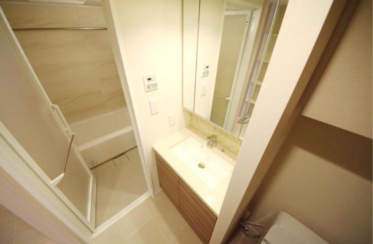 ザ・パークハビオ上野レジデンスの独立洗面台