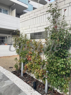 【エントランス】 | ハーモニーレジデンス東京八広ザ・スプレッド