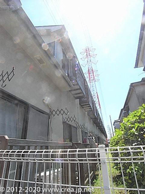 【その他】 | サーティ・ワン