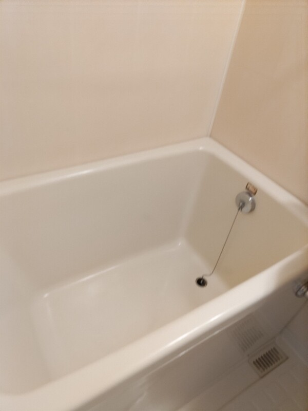 DETOM-1烏丸二条（デトムワン烏丸二条）の浴室