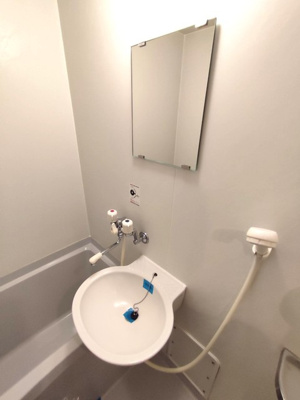 【洗面所】 | メゾンブルーム