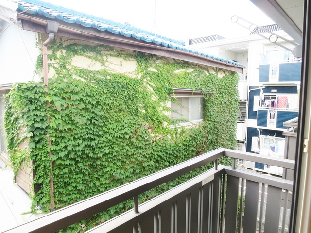 フジの展望|バルコニーからの景色です☆