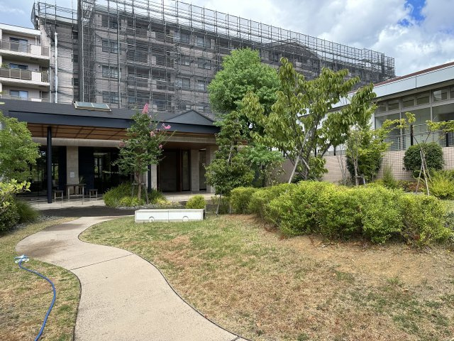 カスタネアクリヒラの庭