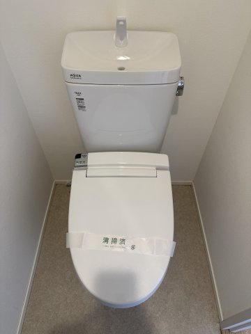 カスタネアクリヒラのトイレ