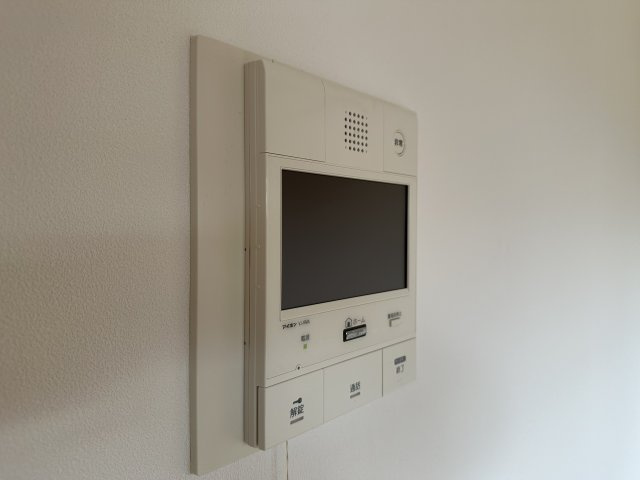 カスタネアクリヒラのセキュリティ