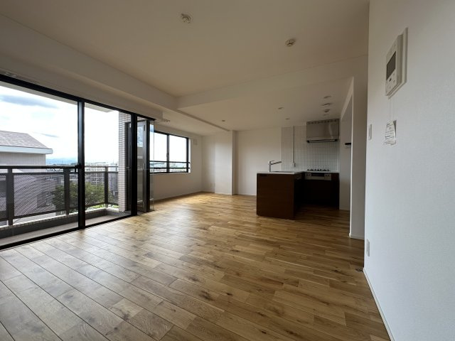 カスタネアクリヒラの居間・リビング