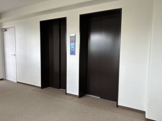 カスタネアクリヒラのその他共用部分