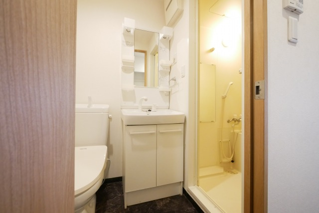 ティアラコートイーストの洗面所