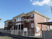 パシアンⅡの画像