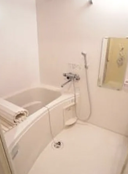 デルフィーノの浴室