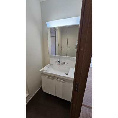 【洗面所】 | アウラガレージ（ガレージハウス） | 洗面所