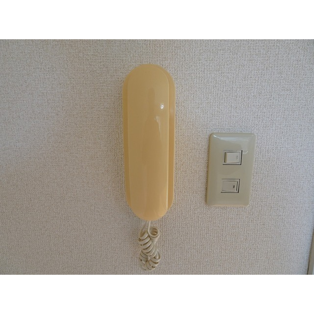 ドミール上池台のその他|インターホン