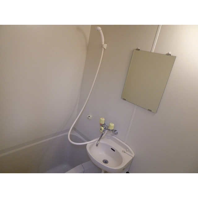 ドミール上池台の洗面所