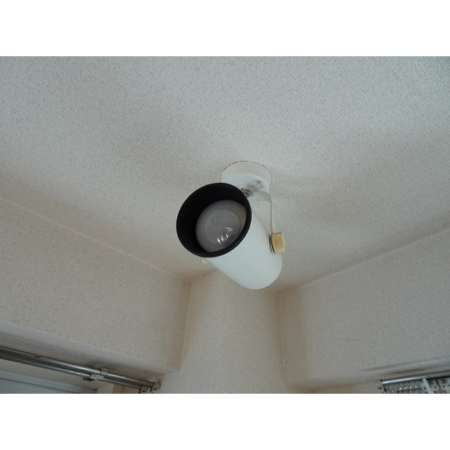 ドミール上池台のその他|洋室ライト