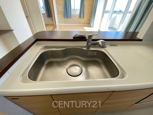 モナーク伊勢崎のキッチン|ビルトイン浄水器付きです。