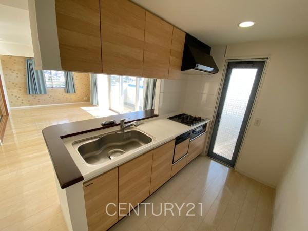 モナーク伊勢崎のキッチン|シンクも大きく洗い物もしやすい浄水器付。シャワーヘッドは引き出し可能、シンクの隅々まで洗い流せます。