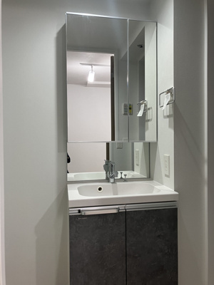 【洗面所】 | LUORE文京本駒込