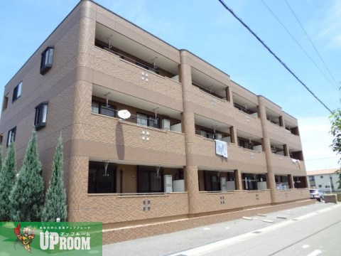 Ｓｕｎ　Ｇｒｅｅｎ　Ｍ