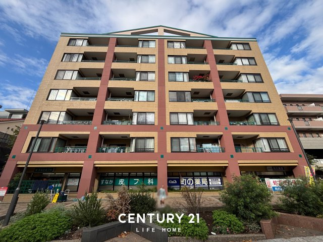 ステイツ仲町台の画像