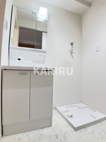 セジュール野江の洗面所