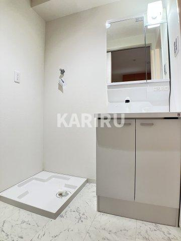 セジュール野江の洗面所