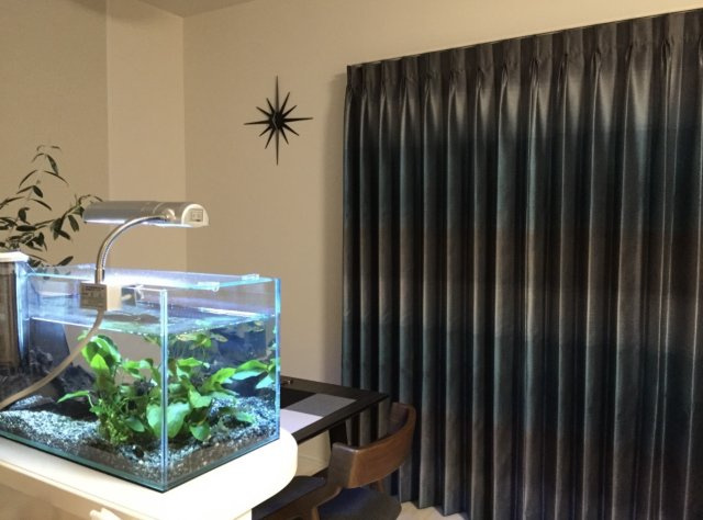 ベアーズコート桑江Ⅲ　4階の居間・リビング|LDK16.1帖