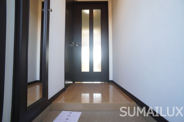 熊本市南区田井島１丁目の賃貸マンションの玄関