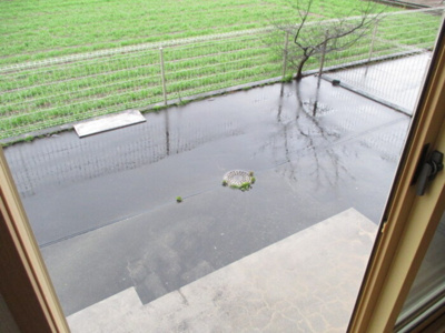 【その他】 | リーベンルーチェ