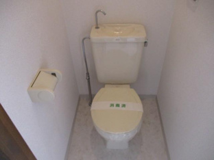 落ち着いた色調のトイレです